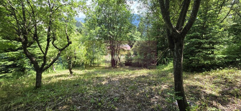 Teren exclusivist pentru dezvoltare imobiliara – Zona Furnica, Sinaia